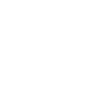 Debt